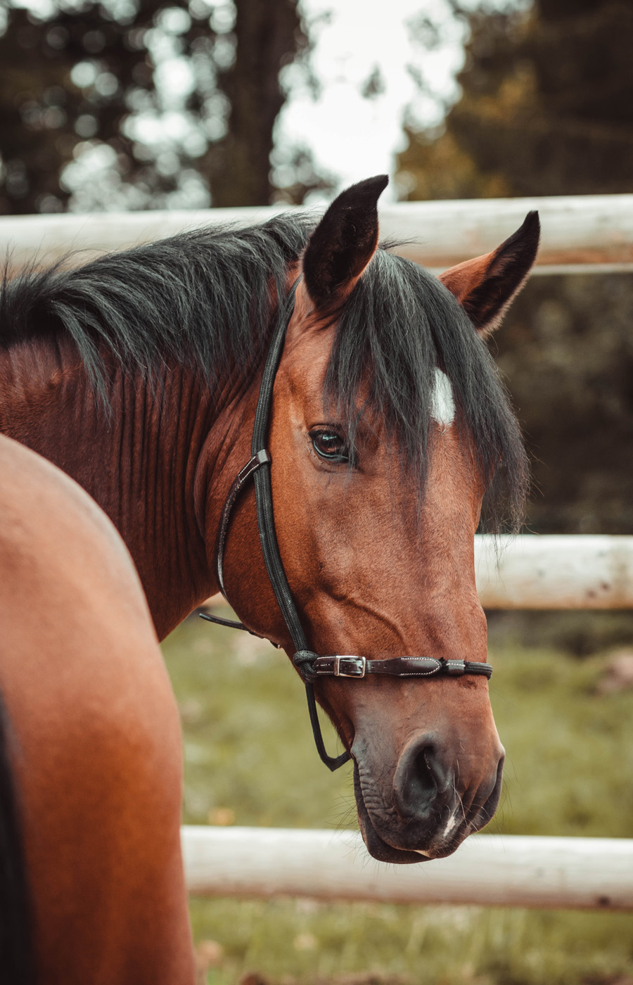 Manon Knasko Photographies